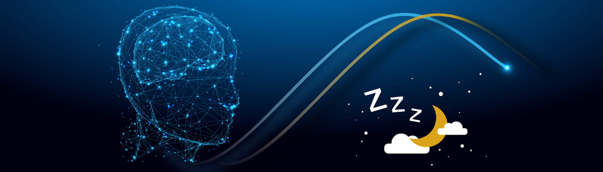 中科院發(fā)現(xiàn)谷氨酸能神經元對睡眠穩(wěn)態(tài)調節(jié)的重要作用